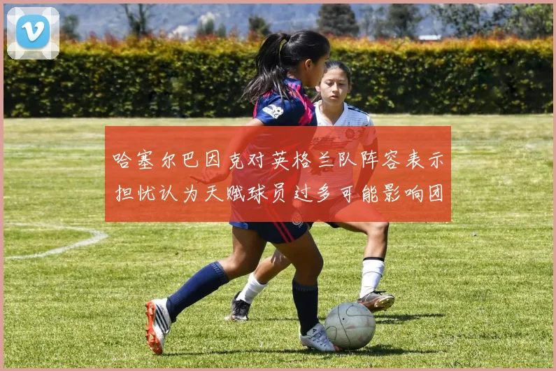 哈塞尔巴因克对英格兰队阵容表示担忧认为天赋球员过多可能影响团队合作
