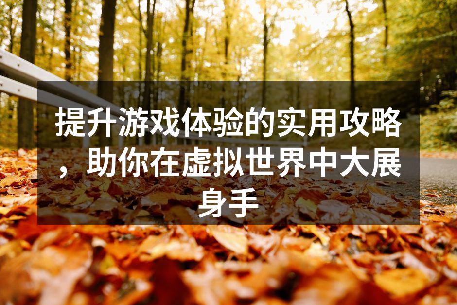 提升游戏体验的实用攻略，助你在虚拟世界中大展身手